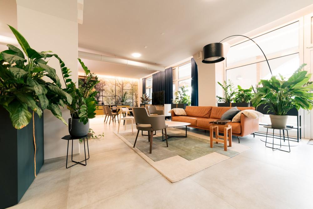 Sal&oacute;n TopArredi