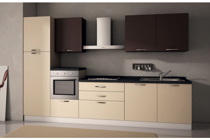 Cucina bicolore in legno con cappa d'arredo e semicolonna forno