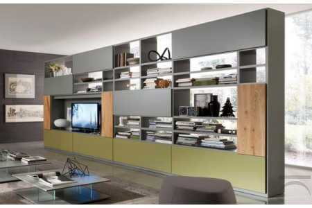 Bookcase living room