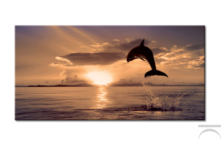 Quadro con immagine digitale, delfini al tramonto