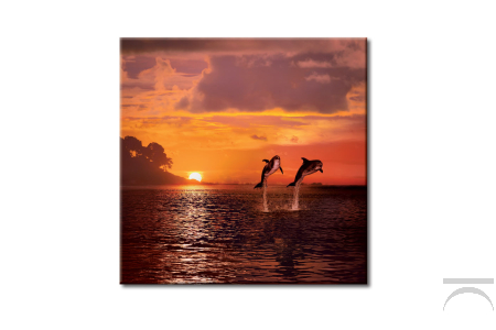 Quadro con delfini su sfondo di un tramonto sul mare.