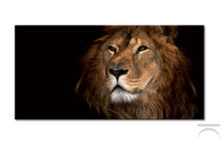 Quadro con immaginedigitale, il leone