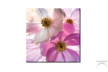 Quadro d'arredo con immagine floreale