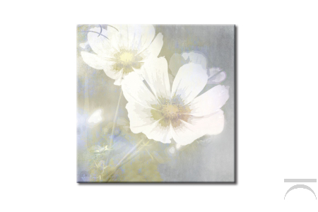 Quadro d'arredo con immagine floreale, Fiori di Loto