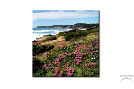 Quadro d'arredo con immagine paesaggistica, Riviera in Fiore