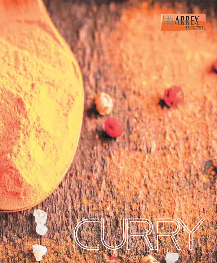 Arrex - Catalog